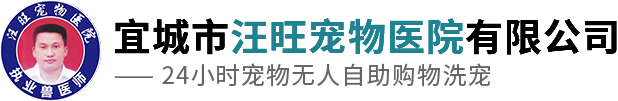 襄陽(yáng)寵物醫(yī)院
